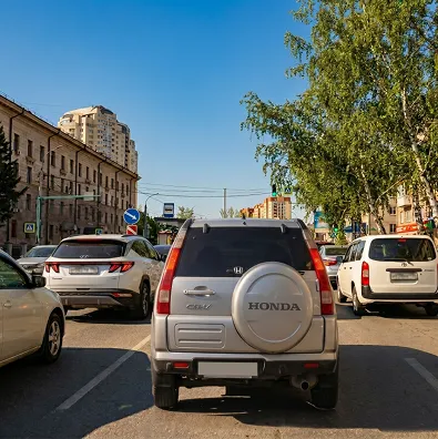 Для климата Новосибирска