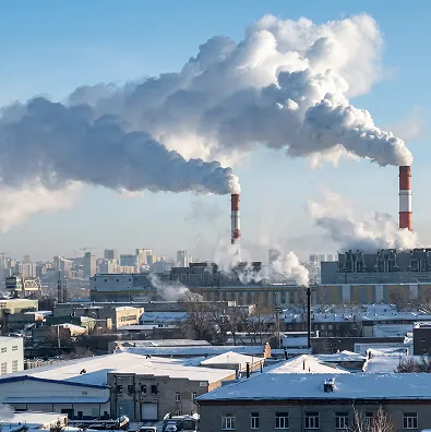 Для климата Новосибирска